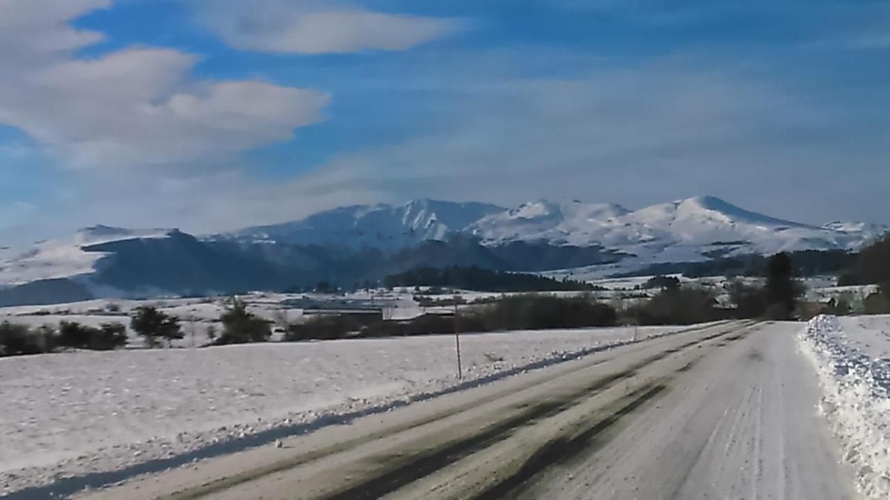 Tulipe, Appartement 5 Personnes, Entre Sancy Et Volcans D'Auvergne Орсиваль Экстерьер фото