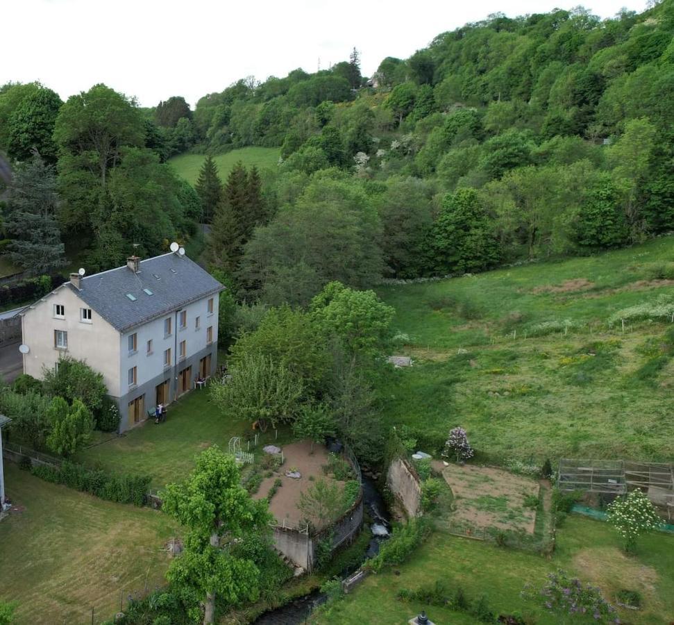 Tulipe, Appartement 5 Personnes, Entre Sancy Et Volcans D'Auvergne Орсиваль Экстерьер фото