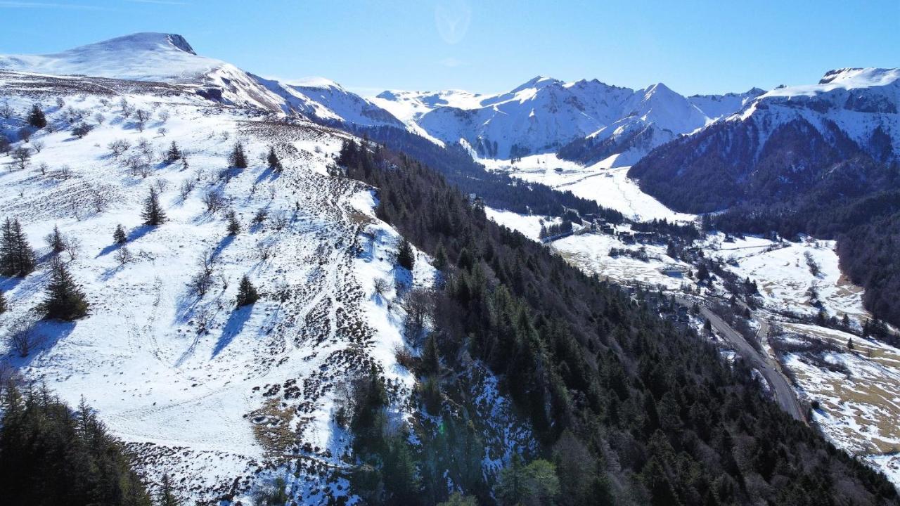 Tulipe, Appartement 5 Personnes, Entre Sancy Et Volcans D'Auvergne Орсиваль Экстерьер фото