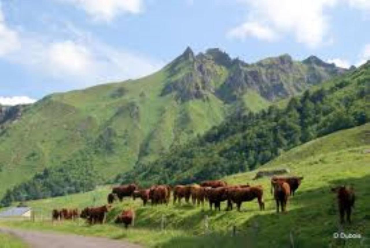 Tulipe, Appartement 5 Personnes, Entre Sancy Et Volcans D'Auvergne Орсиваль Экстерьер фото